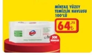 Mintax Yüzey Temizlik Havlusu 100'Lü