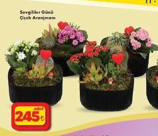 Sevgililer Günü Çiçek Aranjmanı