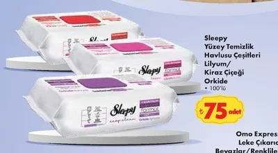 Sleepy Yüzey Temizlik Havlusu Çeşitleri 100'Lü