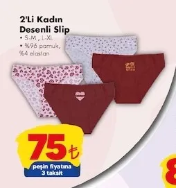 2'Li Kadın Desenli Slip