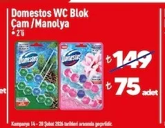 Domestos Wc Blok Çam/Manolya 2'Li