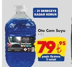 Expert Oto Cam Suyu 5 L