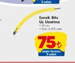 Esnek Bits Uç Uzatma