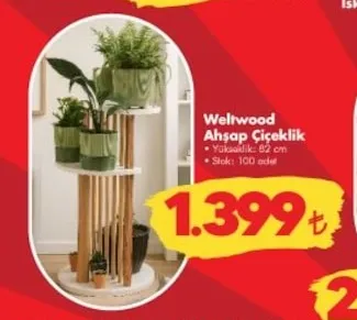 Weltwood Ahşap Çiçeklik