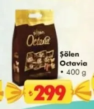 Şölen Octavia 400 G