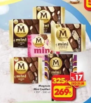 Magnum Mini Çeşitleri 337 - 360 Ml