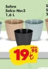 Sahra Saksı No:3 1,6 L