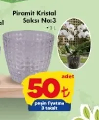 Piramit Kristal Saksı No:3 3 L