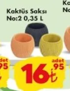 Kaktüs Saksı No:2 0,35 L