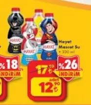 Hayat Maskot Su 330 Ml