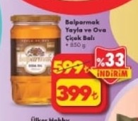 Balparmak Yayla Ve Ova Çiçek Balı 850 G