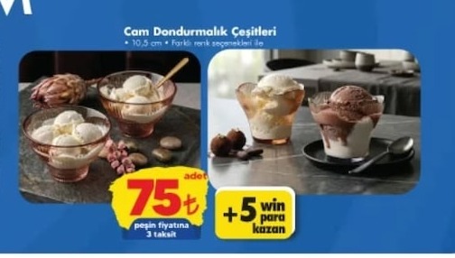 Cam Dondurmalık Çeşitleri