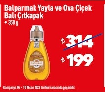 Balparmak Yayla Ve Ova Çiçek Balı Çıtkapak 350 G