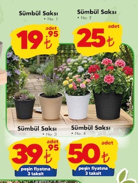 Sümbül Saksı No: 1
