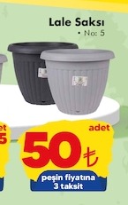 Lale Saksı No: 5