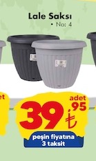 Lale Saksı No: 4