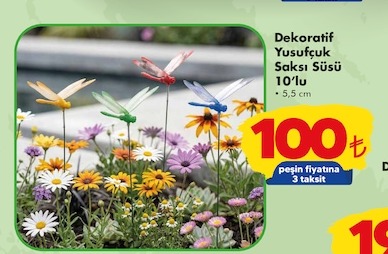 Dekoratif Yusufçuk Saksı Süsü 10'Lu