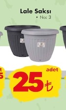 Lale Saksı No: 3