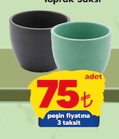 Toprak Saksı Adet