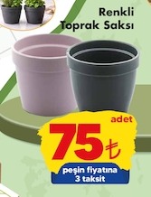 Renklı Toprak Saksı Adet