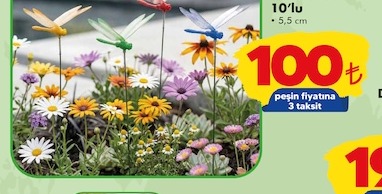 Süs Bahçe Sinekleri 10'Lu