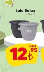 Lale Saksı No:1 Saksı