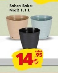 Sahra Saksı No:2 1.1 L