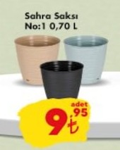 Sahra Saksı No:1 0.70 L