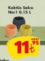 Kaktüs Saksı No:1 0,15 L