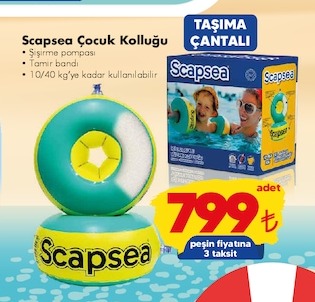 Scapsea Çocuk Kolluğu
