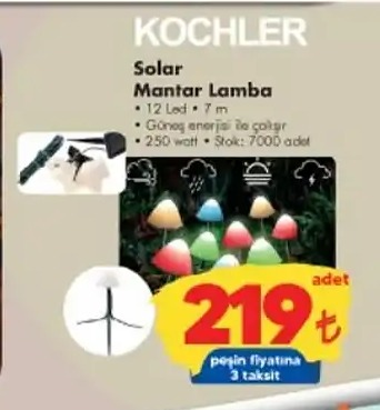 12 Led Solar Mantar Lamba