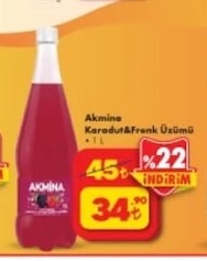 Akmine Karadut&Frank Üzümü 1L