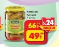 Vatan Kornijon Turşusu 670G