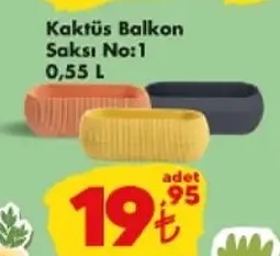 Kaktüs Balkon Saksı No:1 0.55 L