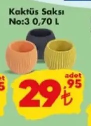 Kaktüs Saksı No:3 0.70 L