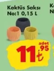 Kaktüs Saksı No:1 0,15 L