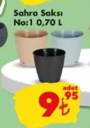 Sahra Saksı No:1 0,70 L