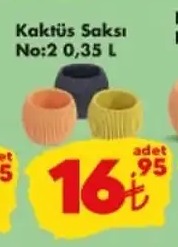 Kaktüs Saksı No:2 0,35 L