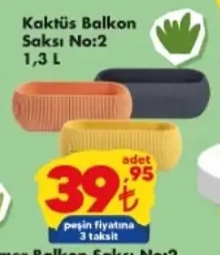 Kaktüs Balkon Saksı No:2 1,3L