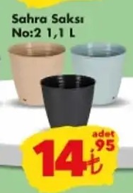 Sahra Saksı No:2 1,1L