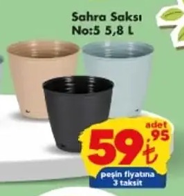 Sahra Saksı No:5 5,8 L