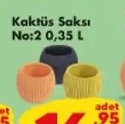 Kaktüs Saksı No:2 0.35 L