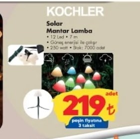 Kochler Solar Mantar Lamba