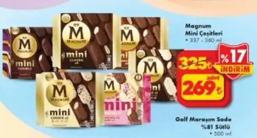Magnum Mini Çeşitleri 337-360Ml