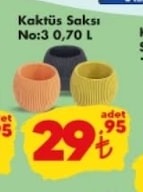 Kaktüs Saksı No:3 0,70 L