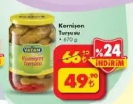 Vatan Kornişon Turşusu 670G