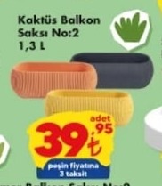 Kaktüs Balkon Saksı No:2 1,3 L