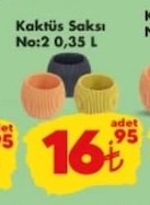 Kaktüs Saksı No:2 0,35 L