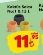 Kaktüs Saksı No:1 0,15 L