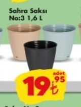 Sahra Saksı No:3 1,6 L